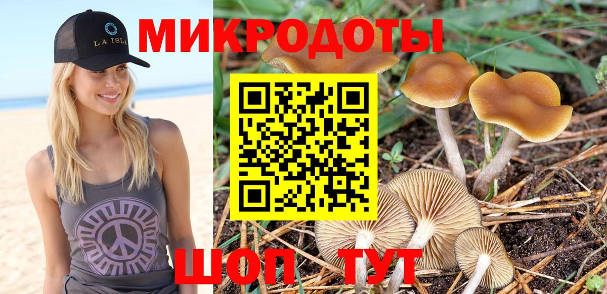 Кисловодск  Псилоцибиновые грибы Psilocybe  Вход с VPN  Псилоцибиновые грибы MAGIC MUSHROOMS 